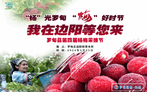 “花溪•罗甸”融媒互动 | “杨”光罗甸 “梅”好时节 罗甸县第四届杨梅采摘节诚邀您的参与~