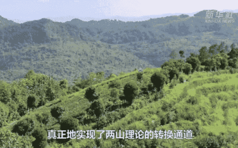 新华社｜【中国故事】久安逐绿记