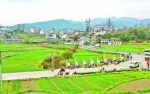 贵阳日报｜文旅融合蹚新路 全域旅游添新彩——花溪区实施文旅活区战略释放发展新活力