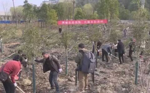 植树节 | ​“植”此青绿同绘春景 花溪区开展2024年义务植树活动