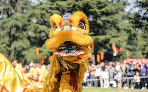 观花船、赏花灯、猜灯谜 | 花溪公园欢欢喜喜闹元宵！
