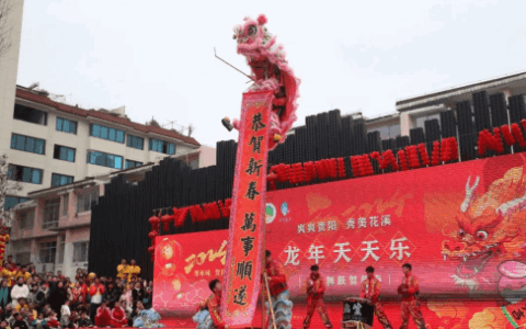 锦绣中国年 | 舞龙舞狮大赛总决赛，金龙青龙金狮银狮纷纷出笼！