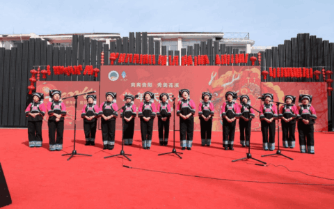 网络中国节·春节｜花溪区龙年天天乐之民族山歌展演活动在十字街举行