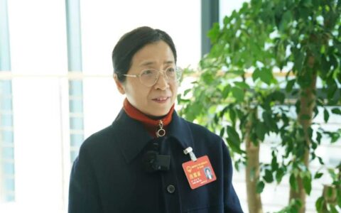 两会进行时 | 凝心聚力 催人奋进 区人大代表分组审议政府工作报告