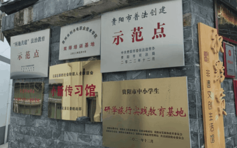 围绕布依坊 共绘同心圆——从龙井村变迁看统战助推乡村振兴新路径