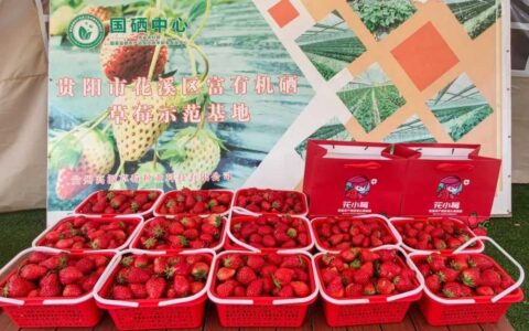 小产业，大希望 贵阳市花溪区大力发展特色农旅结合产品“花小莓”