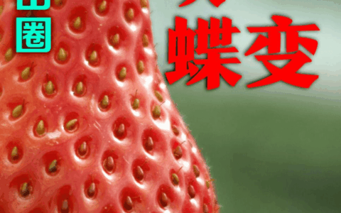 当代贵州赞“花小莓”……