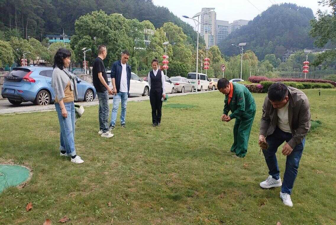 乌当区机关事务管理局以新质生产力赋能绿化提质升级增添浓浓绿意