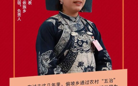 市人大代表陈珊：偏坡乡拥有50余家民宿农家乐，农村“五治”功不可没