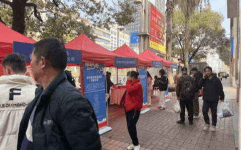 乌当区开展2025年高校毕业生就业服务周专场招聘活动