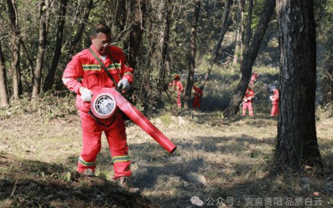 【森林防火】白云区都溪国有林场：清理林下可燃物 筑牢森林防火墙