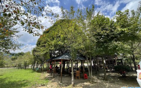 白云区旅居产业发展观察