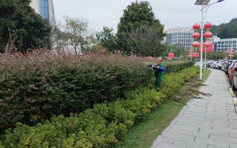 维护绿植过冬季 细护环境提品质
