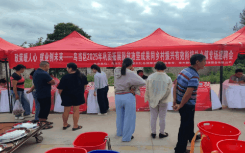 政策暖人心  就业创未来——乌当区举办2025年巩固拓展脱贫攻坚成果同乡村振兴有效衔接赴乡镇专场招聘会