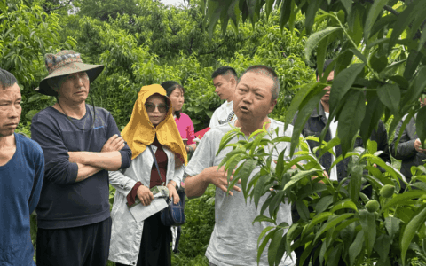 全员下沉接地气 服务三农见真章 乌当区农业农村局农情助理机制激活乡村振兴新动能