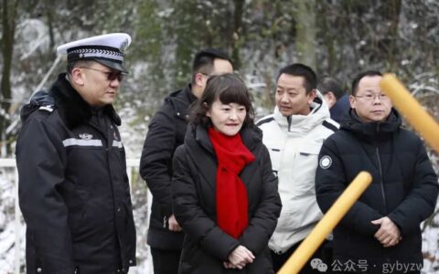 区委主要负责同志率队实地督导调研低温雨雪凝冻灾害防范暨省市“两会”期间安全生产、消防安全工作