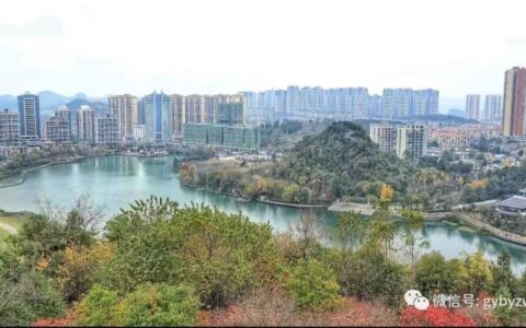 白云区晒出2023年农村“五治”成绩单