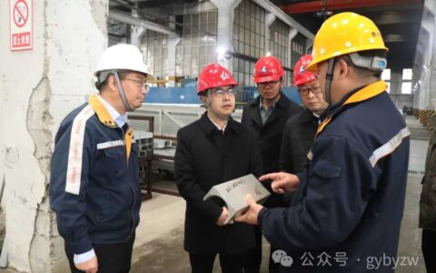 区政府主要负责同志率队调研走访工业企业生产经营及安全生产工作