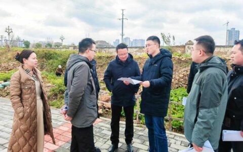 周亮调研白云区相关地块开发建设推进情况
