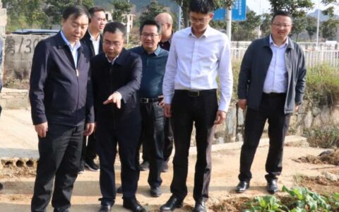 省督导组赴白云区督导耕地保护和粮食安全责任制落实情况