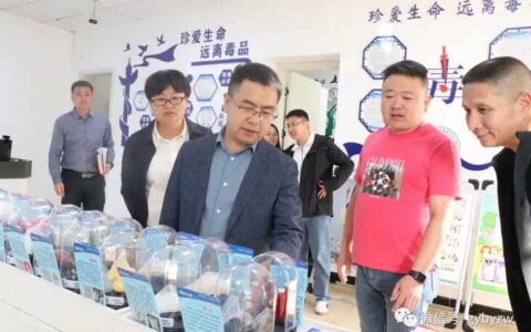 区政府主要负责同志调研督导耕地保护和粮食安全、农村“五治”及禁毒相关工作