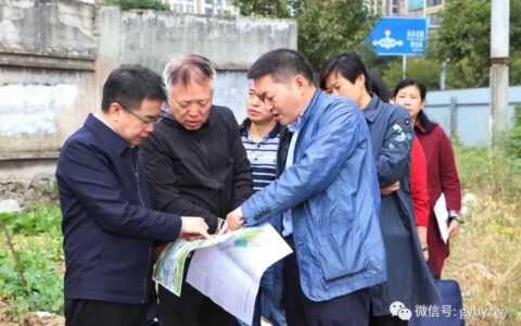 区政府主要负责同志开展主题教育专题调研工作