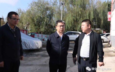 区政府主要负责同志调研督导突出生态环境问题整改及农村“五治”、安全生产工作