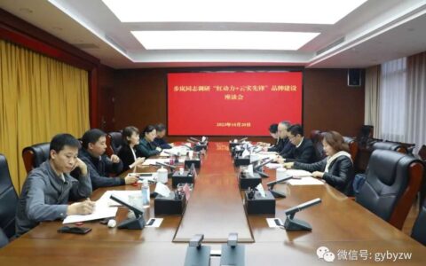 区委主要负责同志开展主题教育领题调研并召开“红动力+云实先锋”品牌建设座谈会