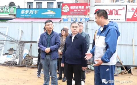 区政府主要负责同志调研文明城市巩固提升工作