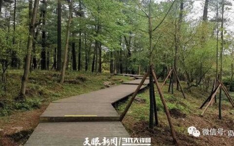 白云区围绕“五林”全面推行林长制