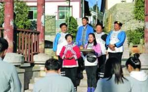 白云区以党建引领推动乡村农文旅产业发展一瞥