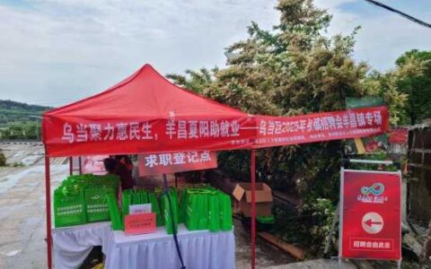 乌当聚力惠民生  羊昌夏阳助就业——乌当区2025年乡镇招聘会羊昌镇专场圆满举办