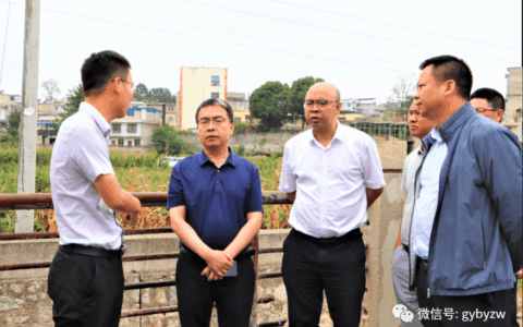 区政府主要负责同志带队调研“强生态”暨开展巡河（湖）工作
