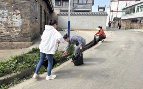 主导环境卫生整治 共绘美好生活环境