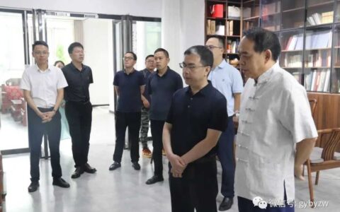区政府主要负责同志率队调研“强旅游”项目、乡村旅居带建设暨农村“五治”工作