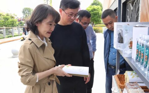 区委主要负责同志调研“鸢飞蓬莱”系列亲子风筝活动筹划、安全管理及牛场乡产业推进情况工作