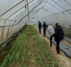 下坝镇开展无人机毒品原植物踏查  筑牢乡村禁毒防线