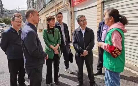 区政府主要负责同志调研垃圾分类及全国文明城市巩固提升工作