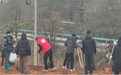 乌当：义务植树正当时 志愿服务添活力