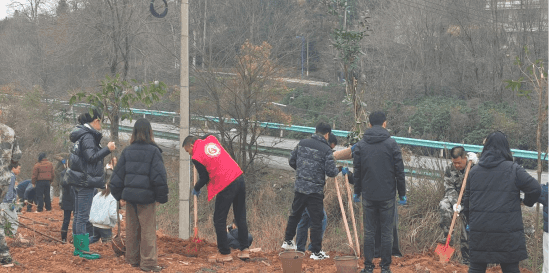 乌当：义务植树正当时 志愿服务添活力