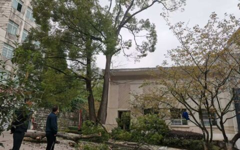 乌当区机关事务管理局多措并举做好行政中心冬季绿化养护工作