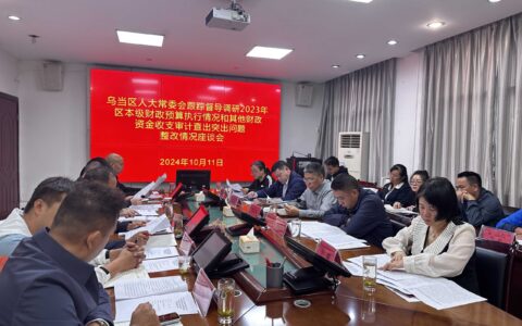 开展“人大+审计”协同监督，推动审计整改见行见效