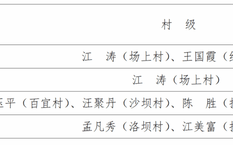 百宜镇2022年河长调整名录
