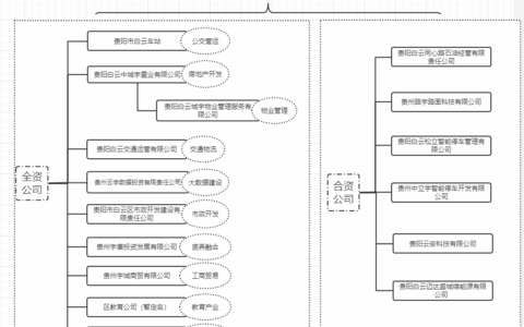 区人民政府办公室关于印发贵阳白云城市运营维护投资（集团）股份有限公司组建方案的通知