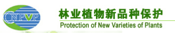 林业植物新品种保护