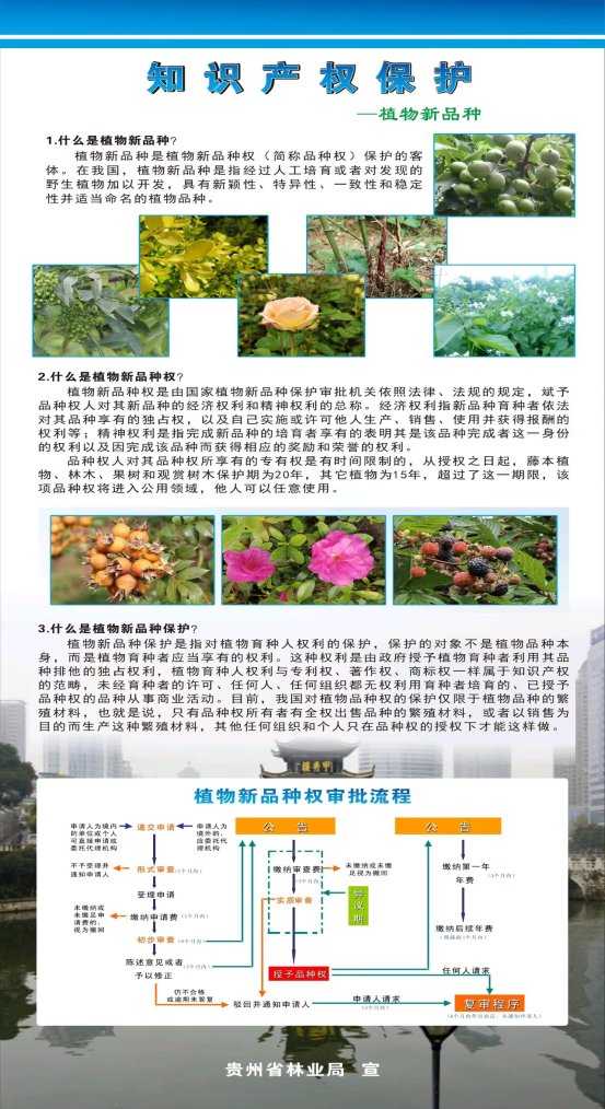 林业植物新品种保护