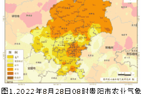 乌当区《气象信息报告》第66期—未来一周天气预报及本周天气实况_2022-8-28