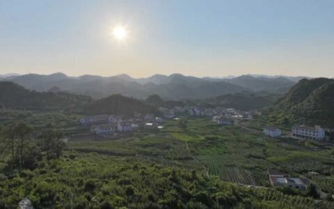 观山湖区：基地直供“鲜”到家 居民吃上“放心菜”