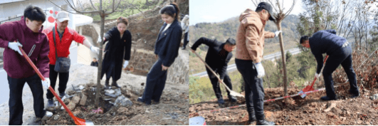 村企民共建生态家园 三友坡绘就绿色未来
