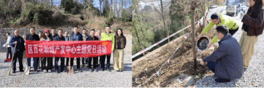 村企民共建生态家园 三友坡绘就绿色未来